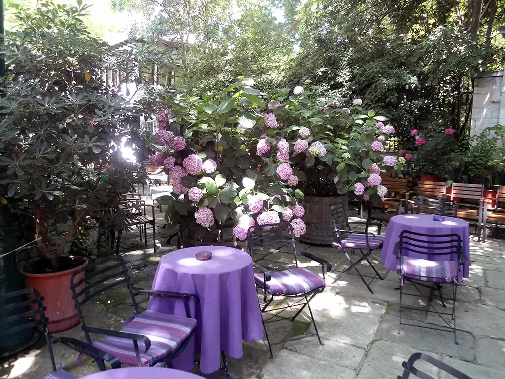 Ξενοδοχείο Φιλοξένια - Αυλή