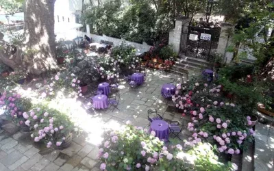 Πήλιο: Ο μαγευτικός συνδυασμός βουνού και θάλασσας