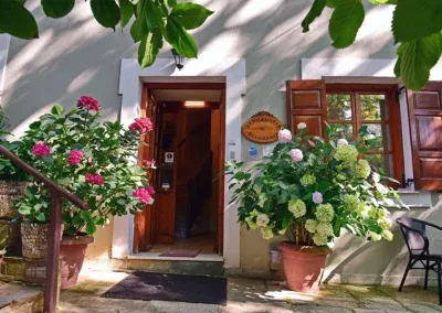 Ξενοδοχείο Φιλοξένια στην Πορταριά στο Πήλιο. Η Είσοδος