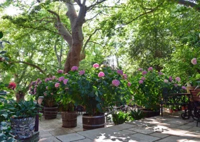 Ξενοδοχείο Φιλοξένια-Πορταριά-Πήλιο. Η Πλατεία.