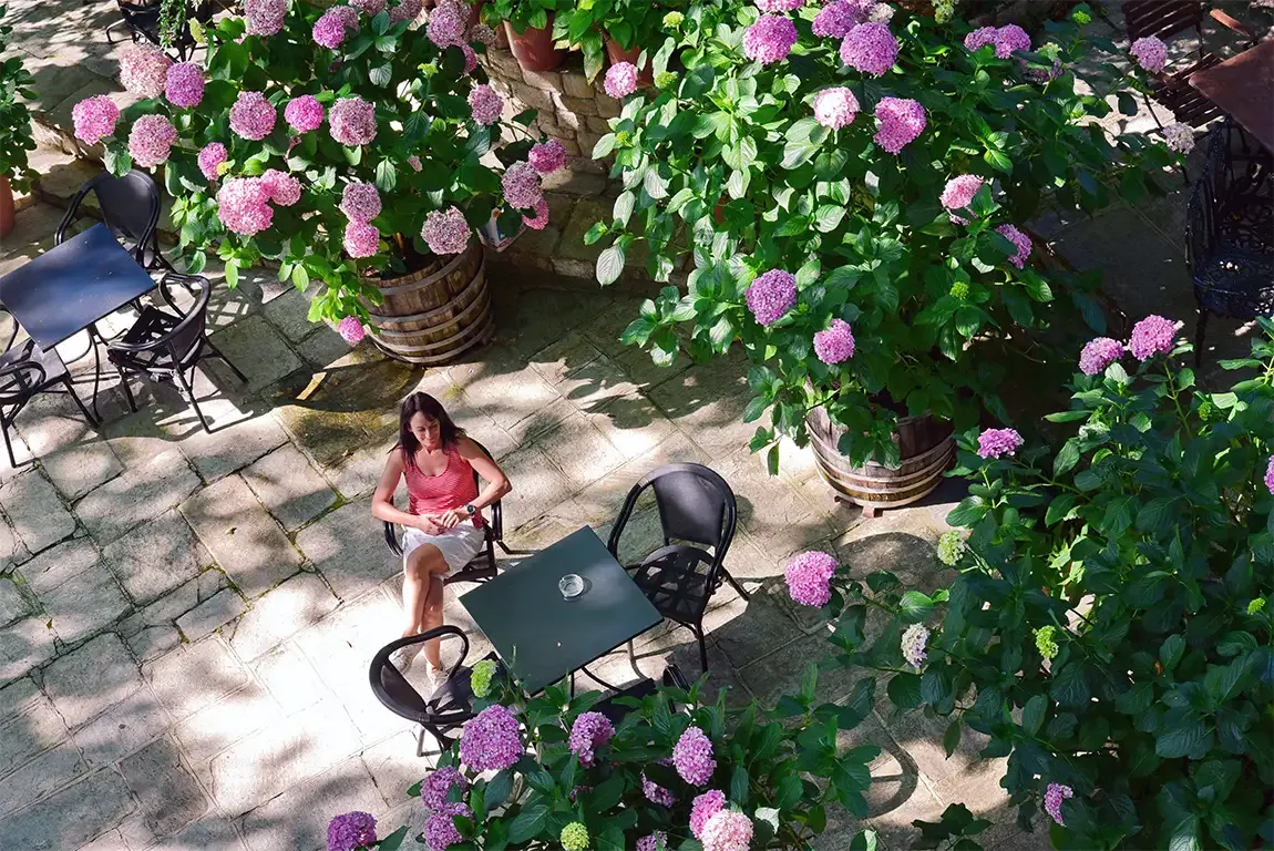 Ξενοδοχείο Φιλοξένια-Πορταριά-Πήλιο.