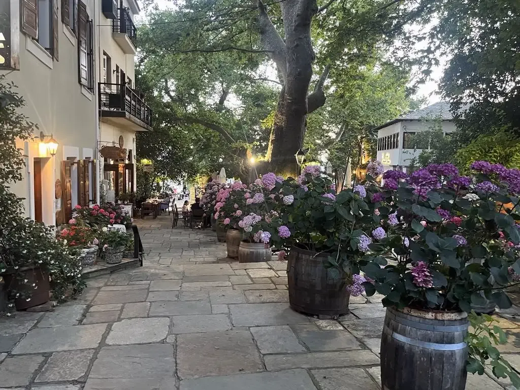 Ξενοδοχείο Φιλοξένια-Πορταριά-Πήλιο. Η Πλατεία.