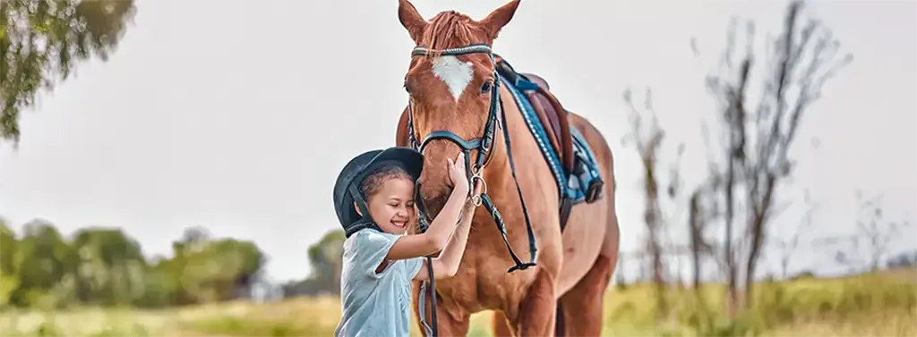 Μουτζούρης - Το τραινάκι του Πηλίου