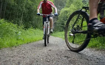 Δραστηριότητες |  Πήλιο – Πορταριά