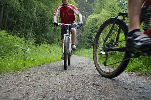 Δραστηριότητες |  Πήλιο – Πορταριά